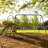 Climb & Slide Playset