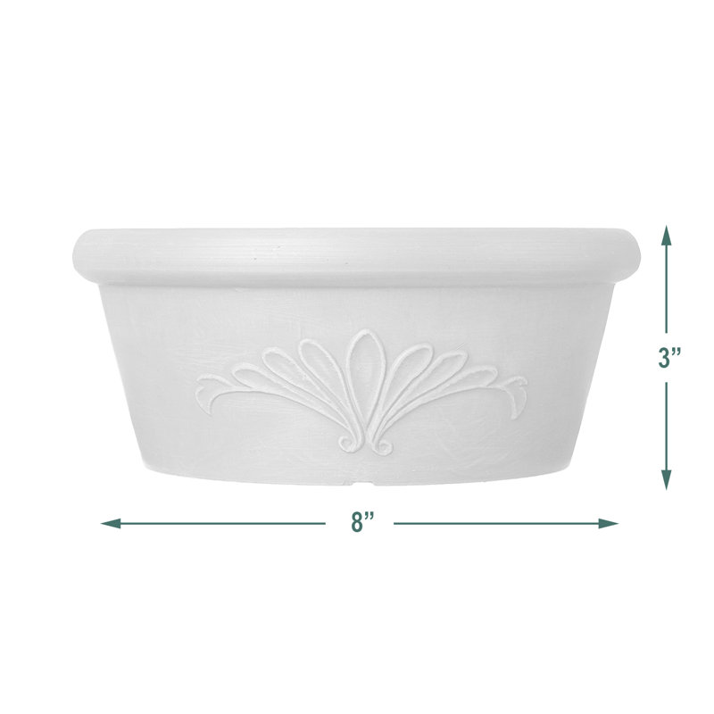 Pot à fleurs en plastique Myler, Beige, H 5 po x l 12 po x P 12 po