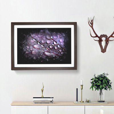 Dewdrops Upon A Lilac Leaf - Single Picture Frame Print on MDF