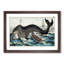Hunting a Whale - Framed Print-55578698-55578699