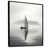 Black Floater Framed