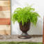 Pot à fleurs en plastique Anouk Classic-1541410874-1541411009