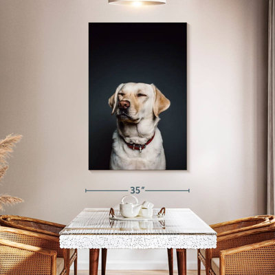 Brampt Squinting Labrador