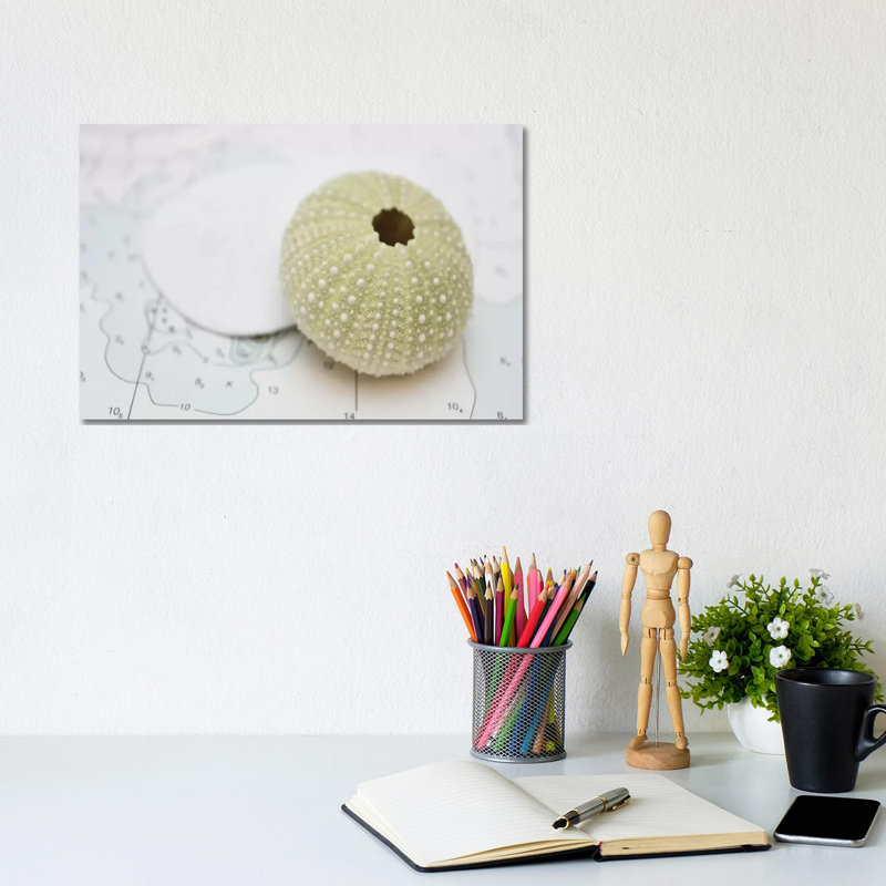 Nautical Urchin by Savanah Plank - Gallery-Wrapped Canvas Giclée on Canvas, 20.32 cm H x 30.48 cm W, Canvas