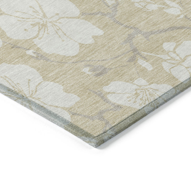  Machine Washable Indoor/Outdoor Chayden ACN1032 Rug, Rectangle 3' x 5'