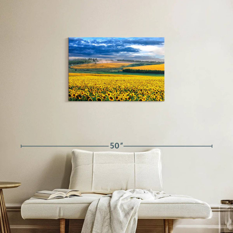 Champ de tournesols Alvord, H 20 po x l 30 po