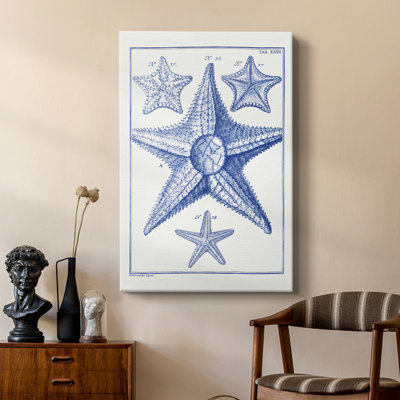 Blue Sea Stars VI - galerie Cavas sur mesure