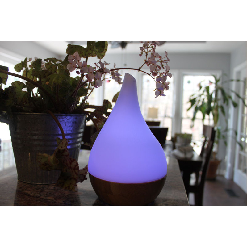 Plug-in Essential Oil Diffusers