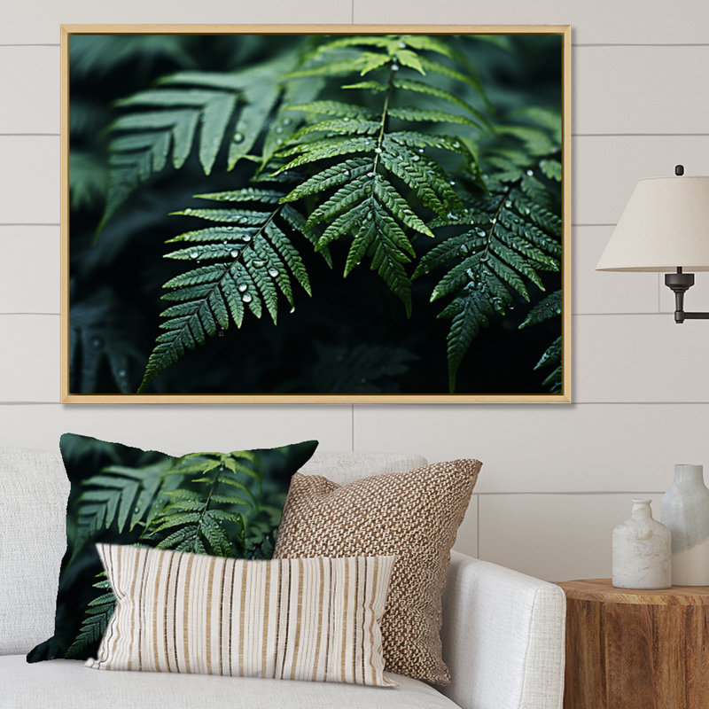 Gros plan sur photo - Impression, Cadre flottant brun, H 30 po x l 40 po x P 1,5 po