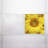 Flower Square Fixture Component Ceiling Light