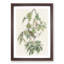 Autumnal Warbler by John Audubon - Single Picture Frame Painting-55456871-55456872
