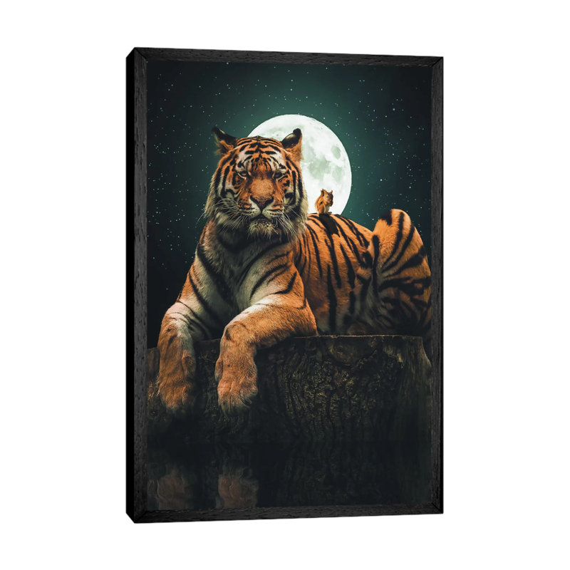 Tiger Squirrel by Zenja Gammer - Print on Canvas, Black Framed, 66.04 cm H x 45.72 cm W