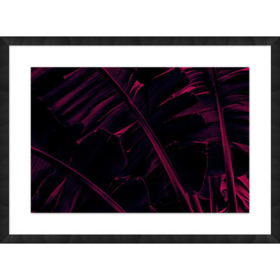 Night Tropics 5 Print by Mat Sanders