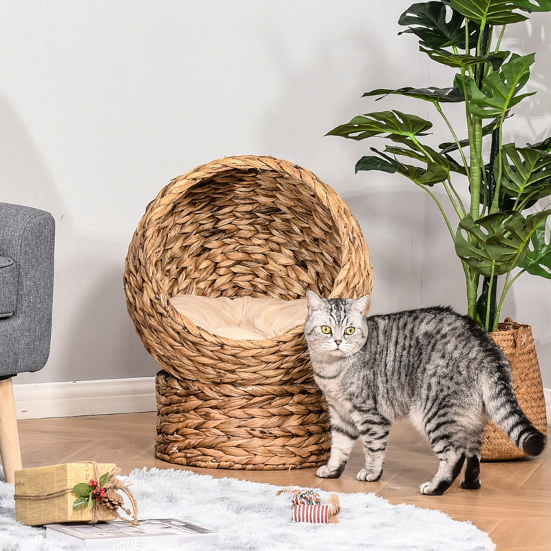 Lit d'intérieur pour chat avec coussin doux et apaisant, 23,5 po de hauteur, panier de coussin souple brun surélevé, pour félins, H,