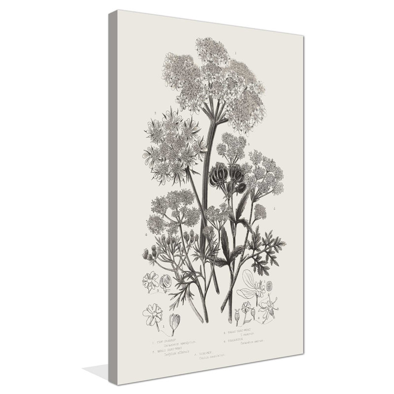 Plantes à fleurs VI neutre - Peinture, L 18 po x H 30 po, Toile tendue