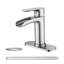 Robinet à poignée simple en laiton Precision Water Flow pour salles de bain et bars - Nickel brossé