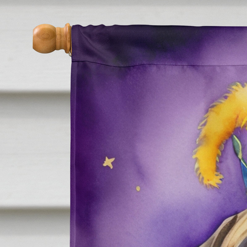 Drapeau de maison double face en polyester H 40 po x l 28 po