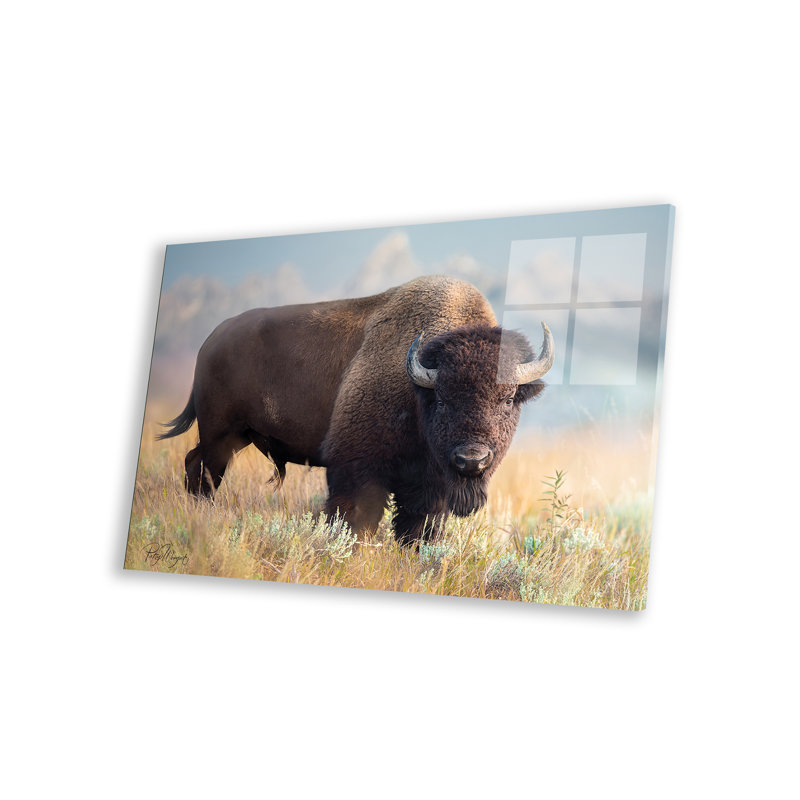Tison bison sur plastique / acrylique par Patsy Weingart