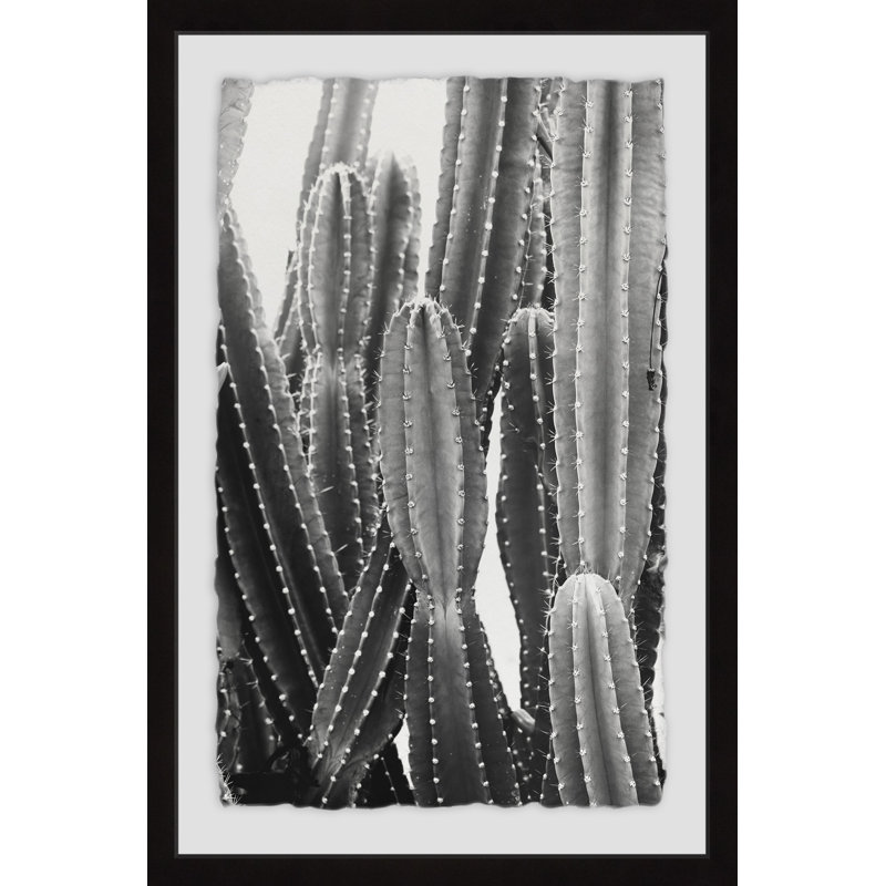 Voiliers blancs, cactus rétro, impression encadrée sur papier, H 18 po x l 12 po x P 1,5 po