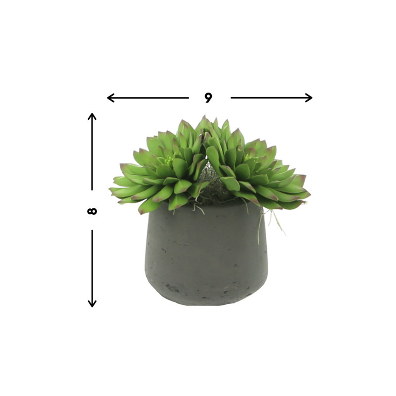 Rockridge Faux Succulent Plant in Fiberstone Pot, Black