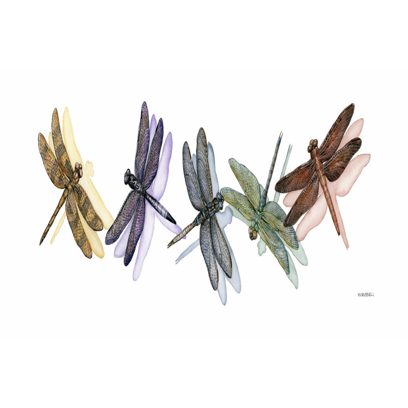 Wings Of Splendor II - Wrapped Canvas Print, 51cm H x 76cm W x 3.8cm D
