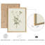 «Vintage Botanical Herb Study», ensemble de 2 reproductions d'art mural encadrées - Illustration de plante verte minimale pour la salle à manger de la cuisine-125120337-125120333
