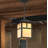 Giles 1 - Light LED Outdoor Hanging Lantern Outdoor Lighting-21203505