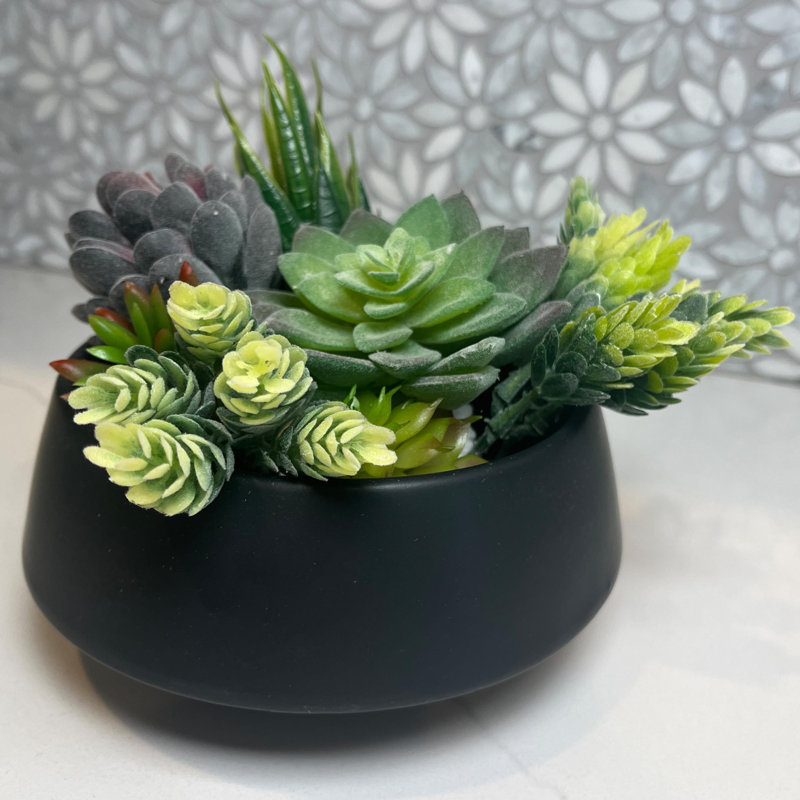 Black Ceramic Indoor Succulent Planters Set of Two