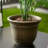 Sayoko Pot Planter-1286913600-1286913601