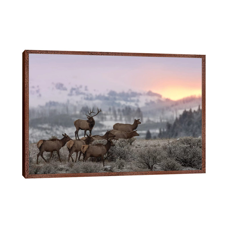 First Light by Nick Kalathas - Print on Canvas, 45.72cm H x 66.04cm W x 3.81cm D, Classic Brown Wood Floater Framed