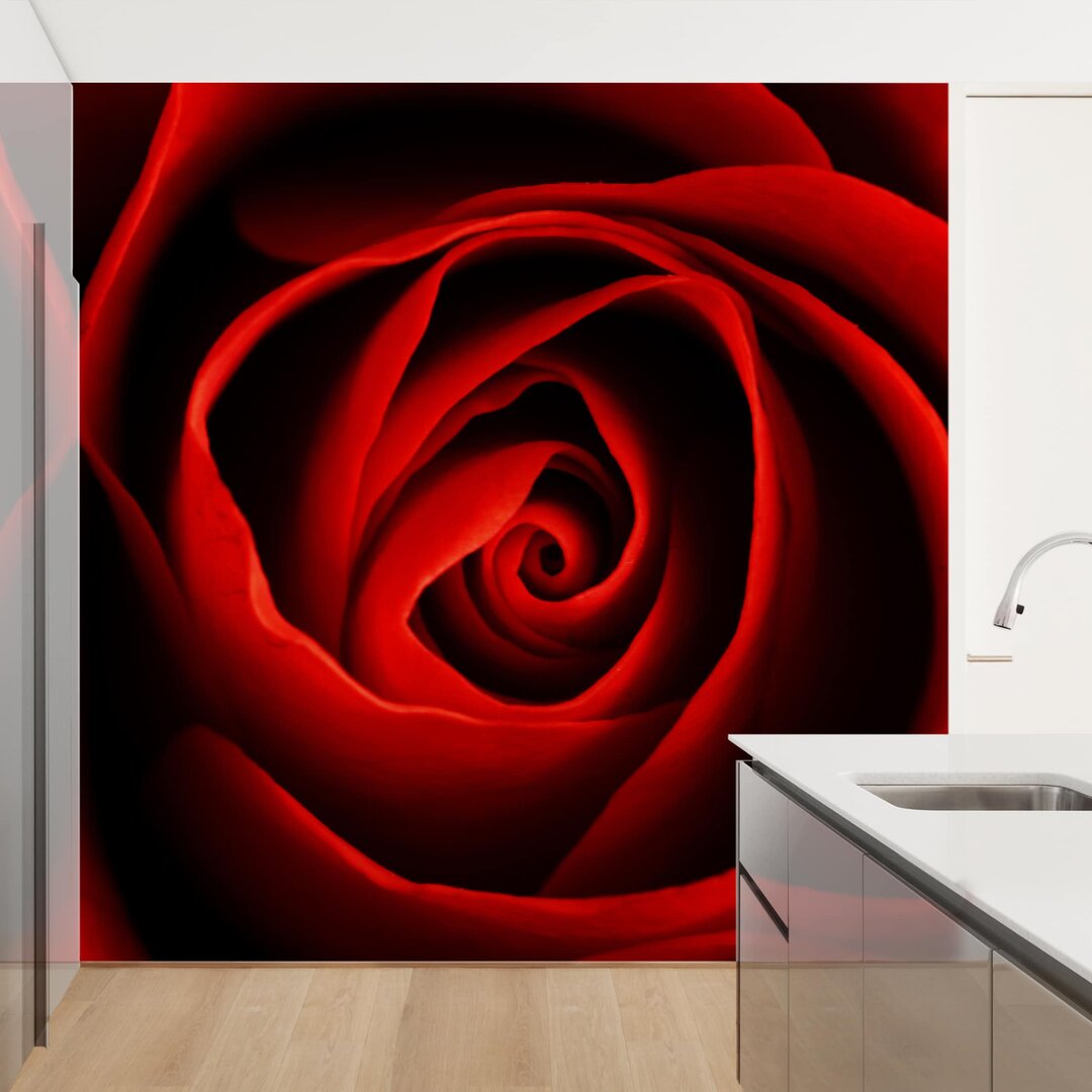 Matt Fototapete Liebliche Rose 2,4 m x 240 cm