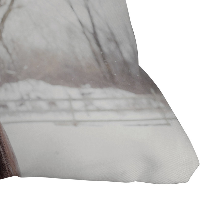  Coussin intérieur / extérieur Dark Horse