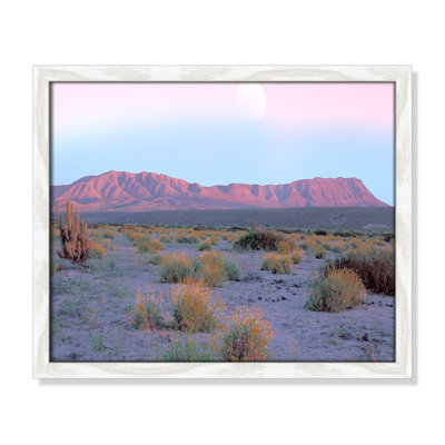 «Vallenar Atqacama Vallenar Atacama Desert» par Danita Delimont - reproduction sur toile flottante