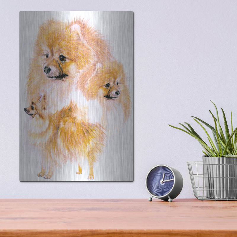 "Pomeranian" par Barbara Keith, H 16 po x l 12 po