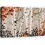 Aspen Birch «Forest Birch Trees» sur-99141903-99141907