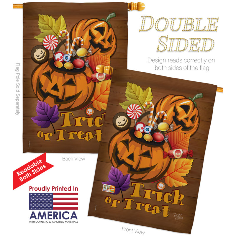 Ensemble de drapeaux en polyester 40 po x 28 po Candy