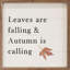 «Leaves are Falling And Autumn Is Calling White»-783347170