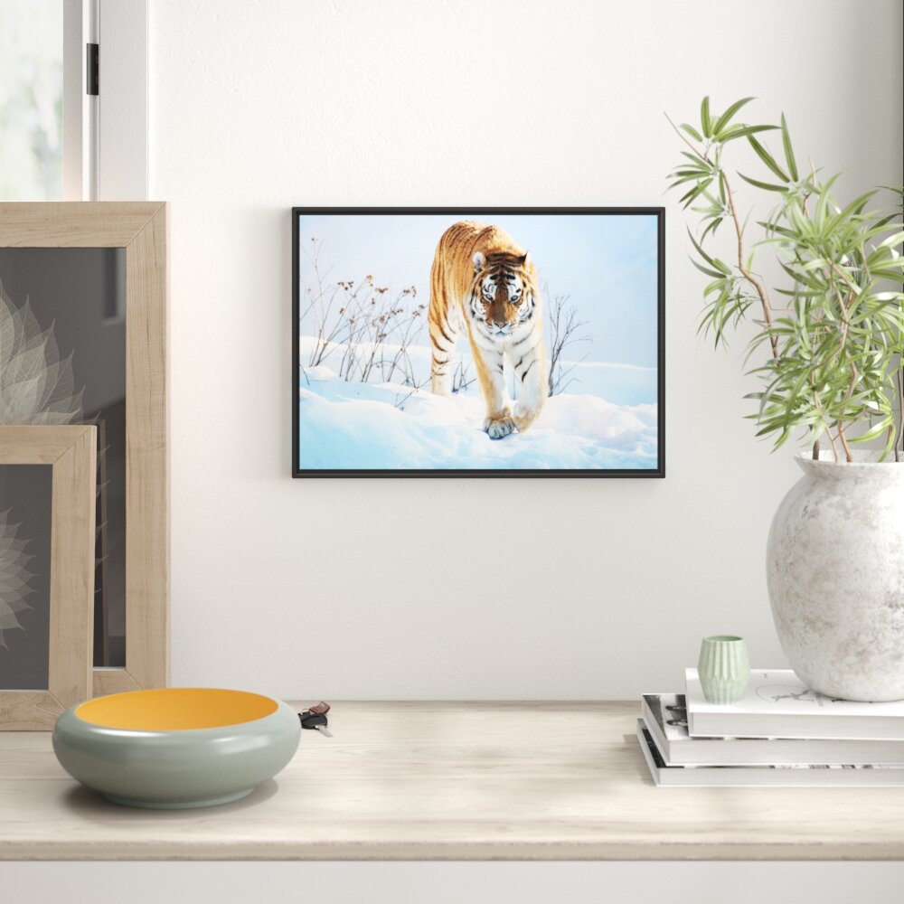 Gerahmtes Wandbild Stolzer TigerSchnee