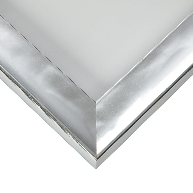 Cadre photo en plastique Peiffer, 10 po x 12 po