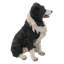 Statue Border Collie assis