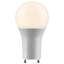 10 Watt LED Bulb-25628282