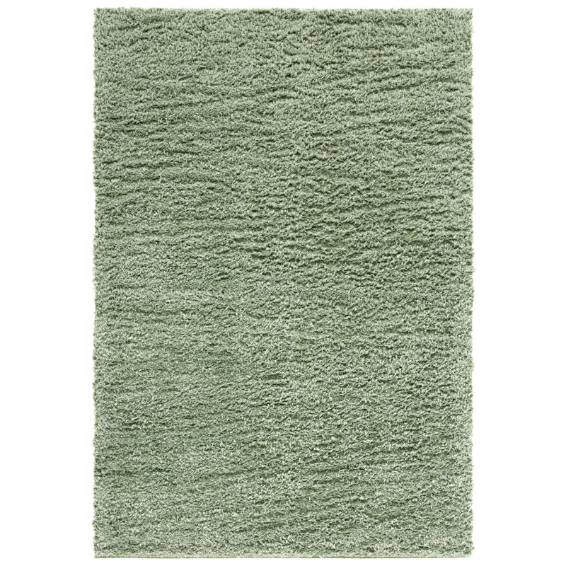 Lindsay Shag Performance Solid Color Rug, Rectangle 4' x 6', Green