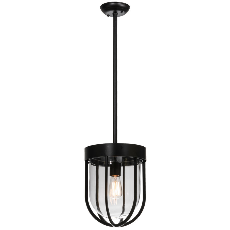 1 - Light Black Single Pendant