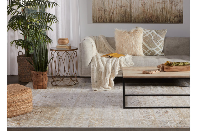 Best Living Room Rugs: How to Choose the Perfect Area Rug - Wayfair Canada