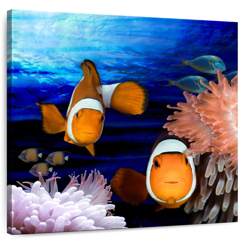 Crowle, créatures de la mer, poisson clown, H 16 po x l 16 po