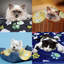 Couverture pour animaux