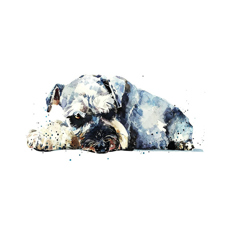 Schnauzer - Wrapped Canvas Painting, 20.32cm H x 30.48cm W