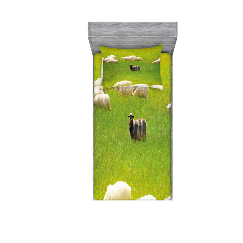 Ensemble de draps Sheep Entre Goatson, Ensemble de draps pour lit simple TG avec drap-hou