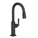 Adams Single Handle Pull Down Kitchen Faucet
