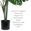 Philodendron artificiel en pot-1164799514